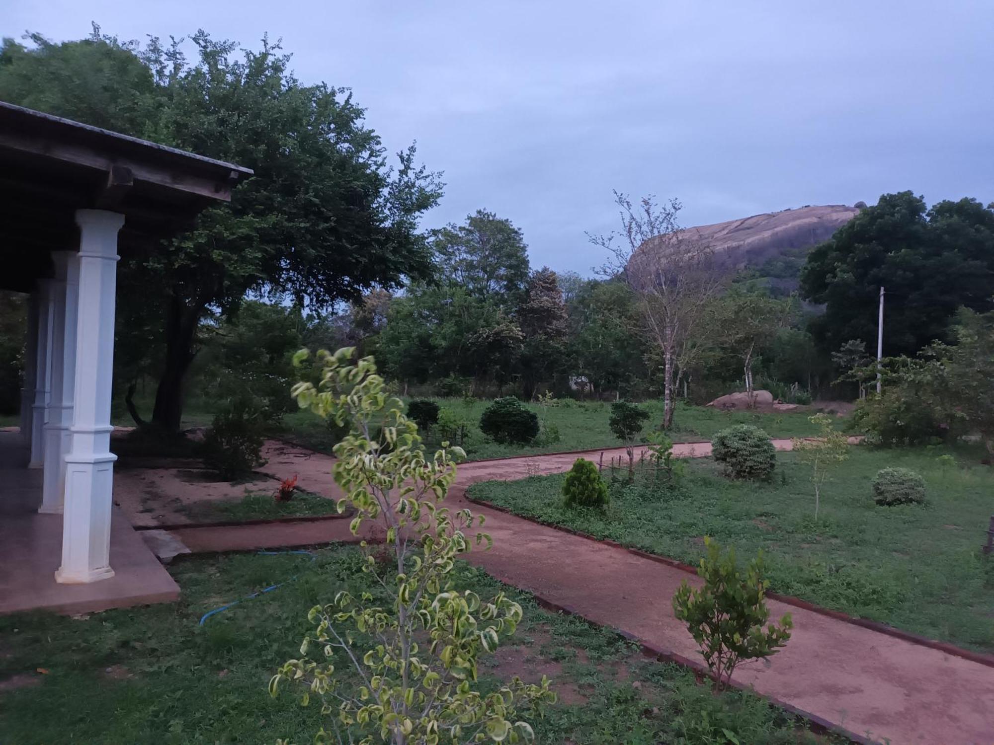 Sigiri Arana Sigiriya Hotel Luaran gambar