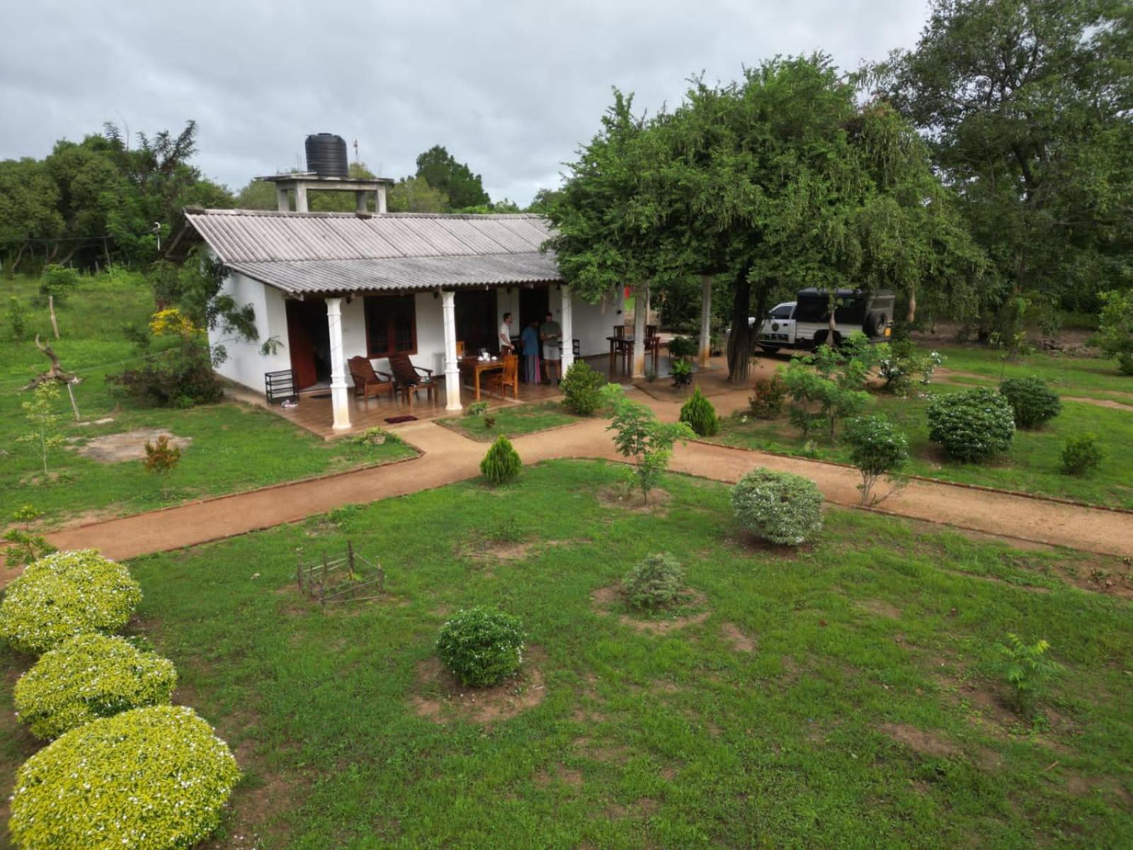 Sigiri Arana Sigiriya Hotel Luaran gambar