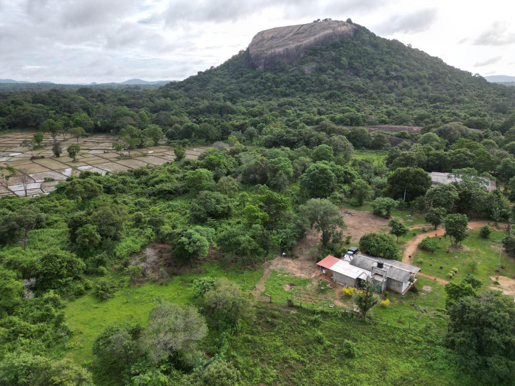 Sigiri Arana Sigiriya Hotel Luaran gambar